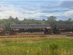 CBTX 741035